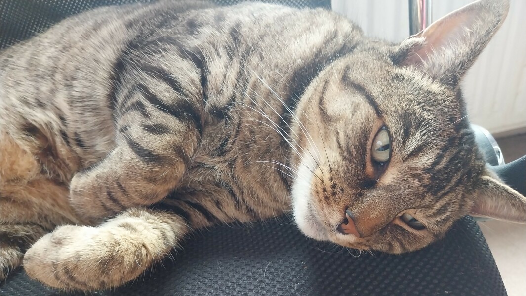 Thread 1 Starmer: A New Hope