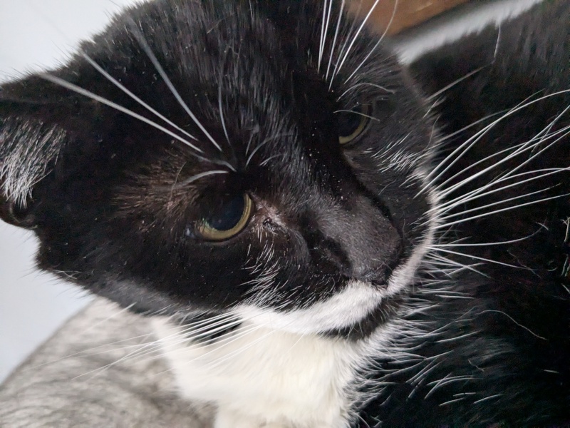 Thread 1 Starmer: A New Hope