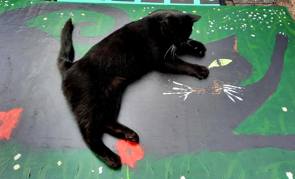 Women's rights general conversations - Thread 8