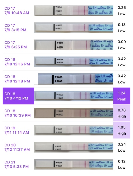 Second cycle after CP- CD16: Failed to ovulate and spotting? Help! (sensitive images!)