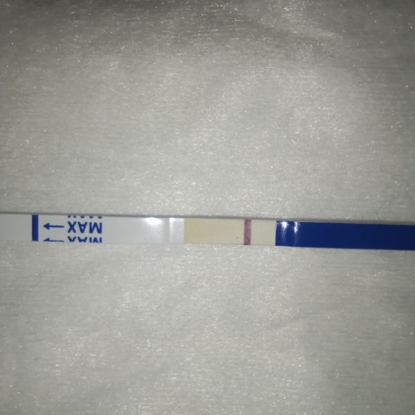 10 dpo line eyes. Did I flood the test?