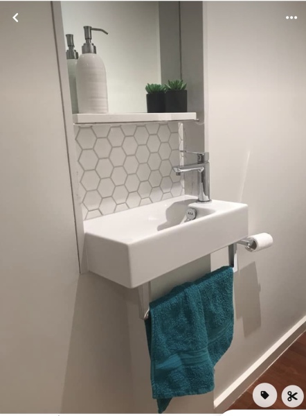 Does anyone have a 2-in-1 sink/toilet combination