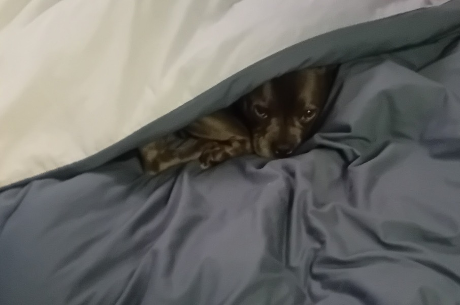 The support thread for anyone trying to lead an alcohol free life.