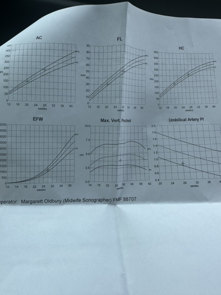 Growth scan