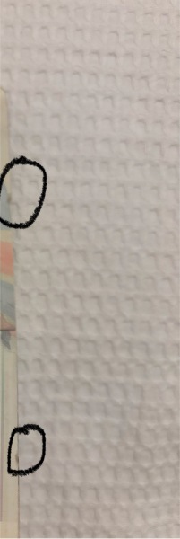Tiny mark on edge of some passport pages, will this be a problem?