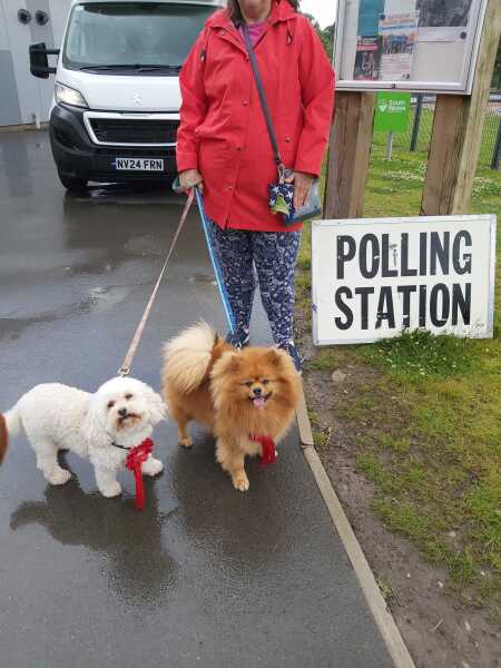 Thread 53 Sunak: Superminority!