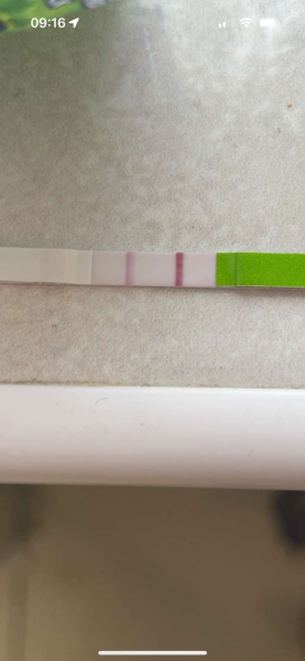 Positive ovulation test?