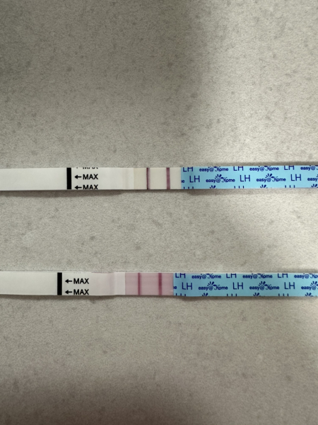 Positive OPK or not yet?