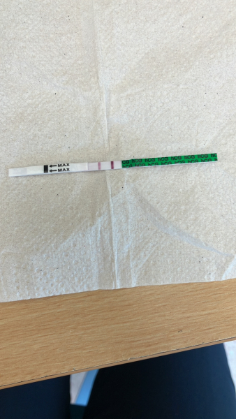 Positive OPK 17 dpo... possible pregnancy?