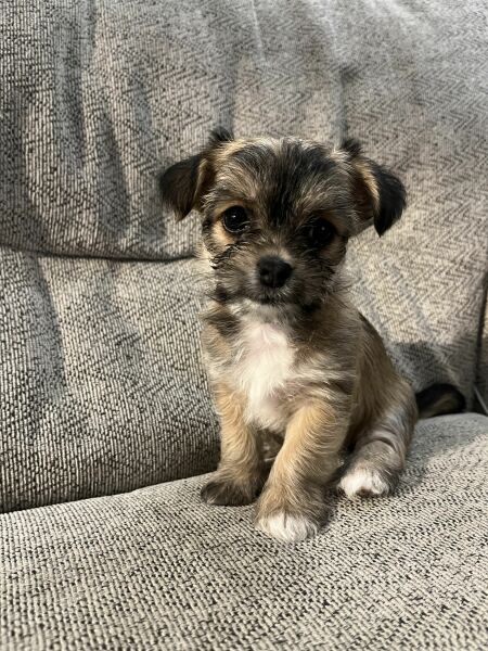 What’s my name? CUTE PHOTO INCLUDED!