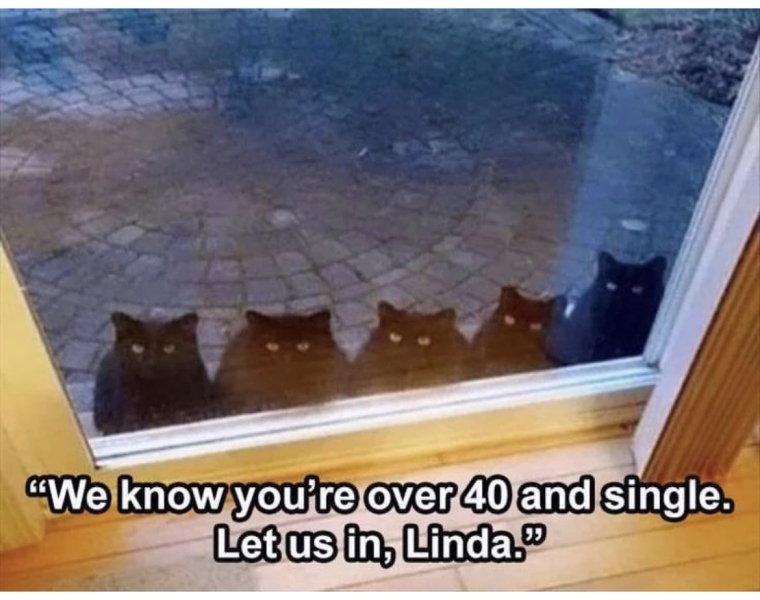 Thread 3 Starmer:  Digging has started, bigger shovel required