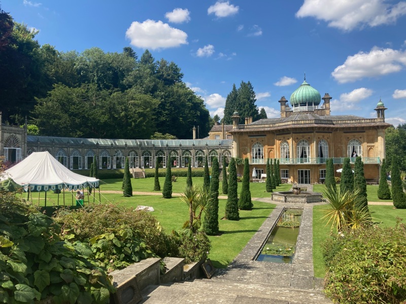 The Great Cancer Recovery part 3