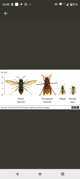 What the hell is this?