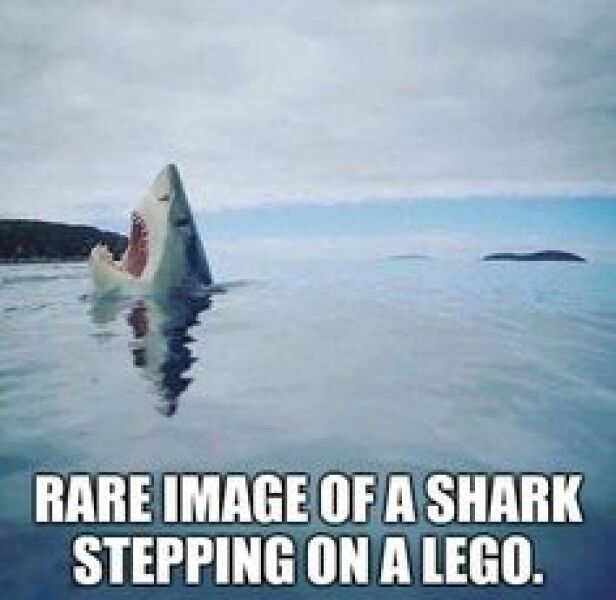 When was the last time you really laughed?