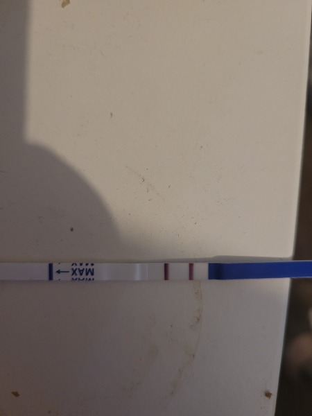 9 week miscarriage concerned