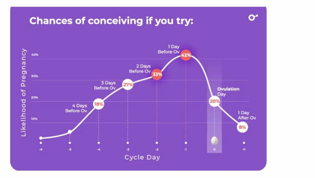TTC after chemical pregnancy