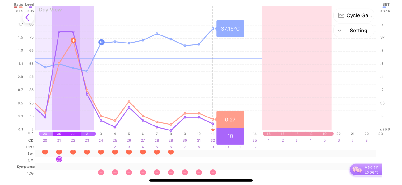 TTC after chemical pregnancy