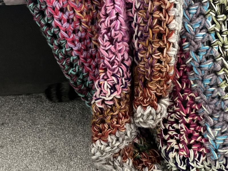 My cat ‘hiding’…. Anyone else have this??