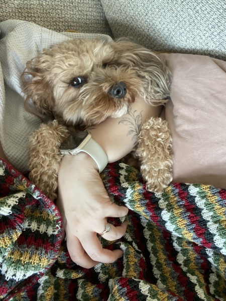 Share Your Dog Stories and Photos! 🐾 Chance to Win £100!