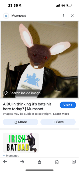 Thread 51 - Covid GCSE Cohort - Summer 24  - End of Uni Yr 2