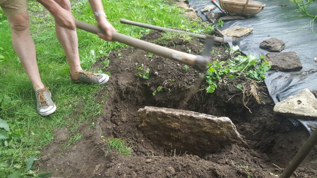 What have you done in the garden today? Part 5