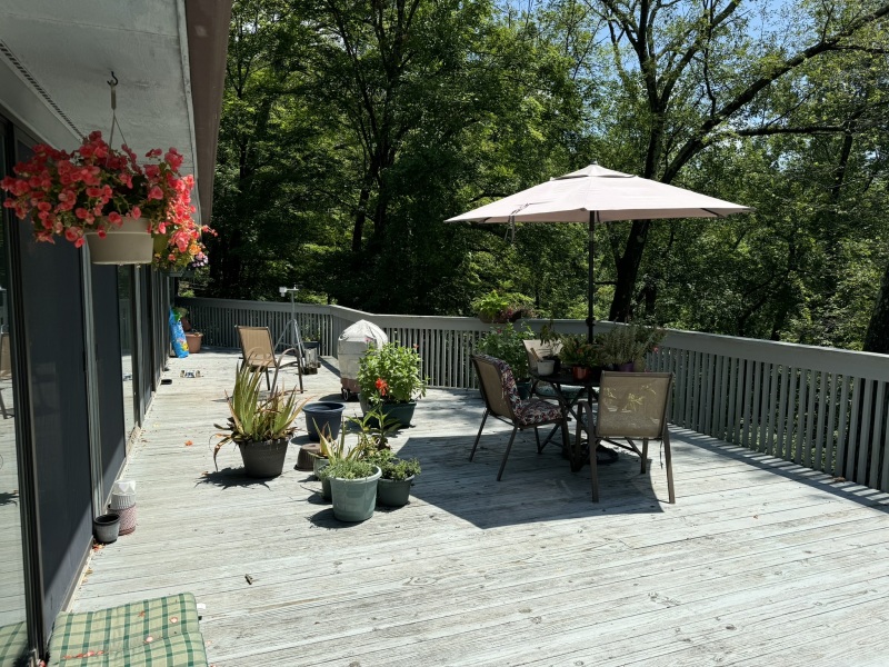 Come and tell me your dull and unexciting news 30: Calmly through the day