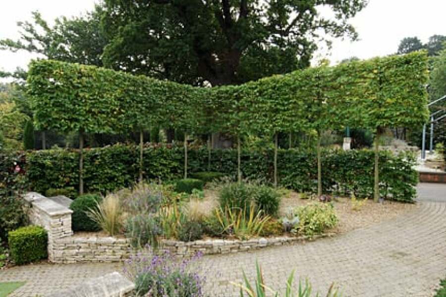 Garden overlooked