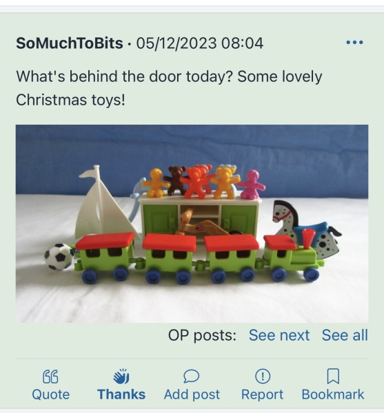 It's general election day for the Playmobil people in our house.