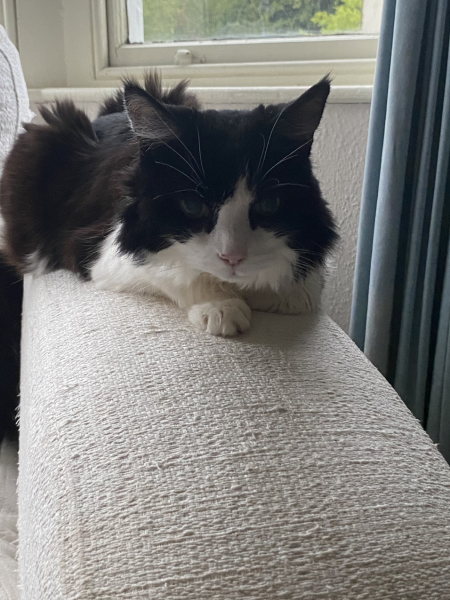 Lost my 19 year old girl
