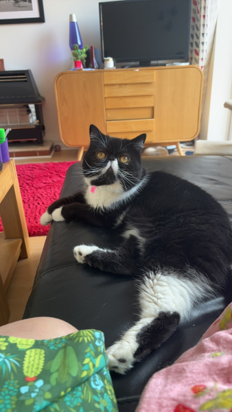 Magnificent Moustaches
