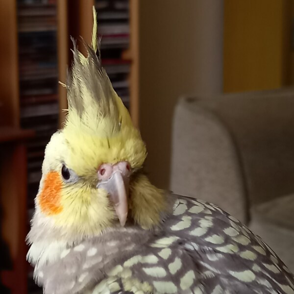 Thread 3 Starmer:  Digging has started, bigger shovel required