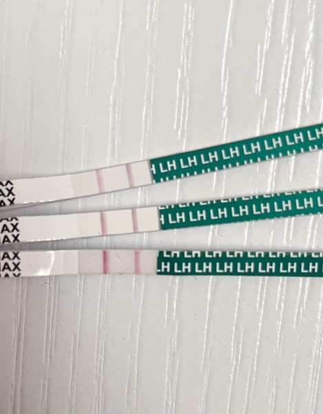 Is this opk positive?