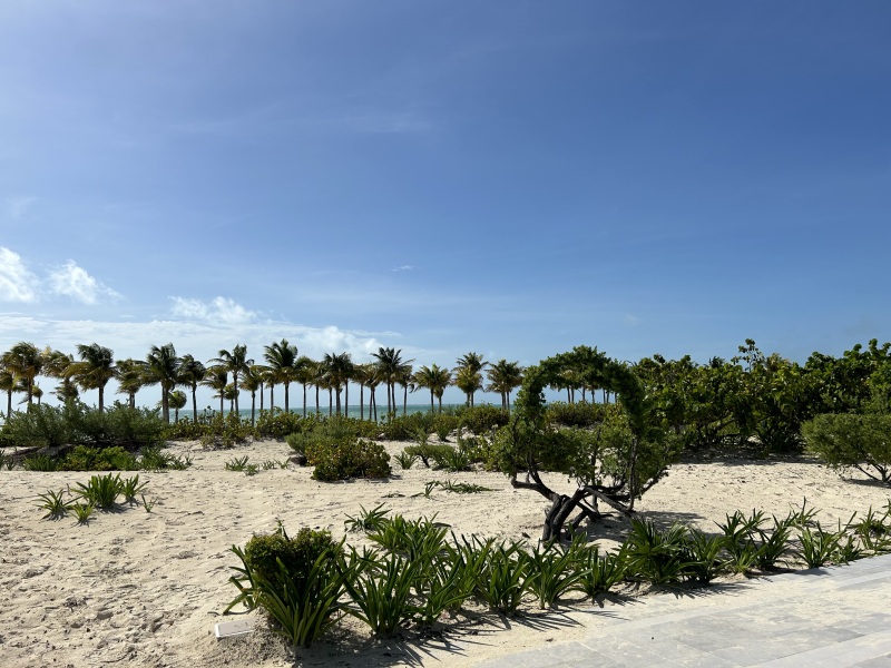 Urgent help Cancun Mexico with TUI Beryl Hurricane