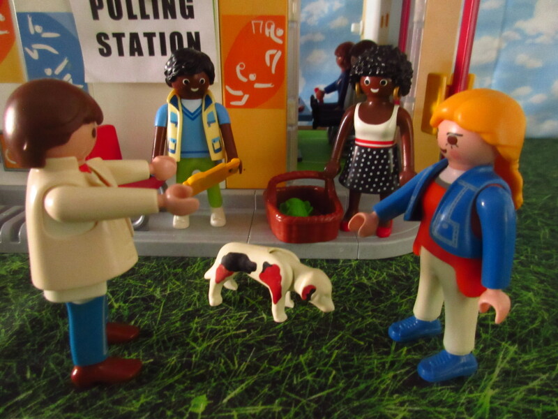 It's general election day for the Playmobil people in our house.