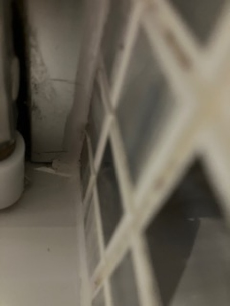 New sealant on shower tray. Do they need to come back? And can they just add some on if necessary?