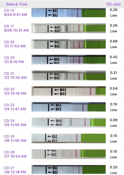 No LH peak since CP?