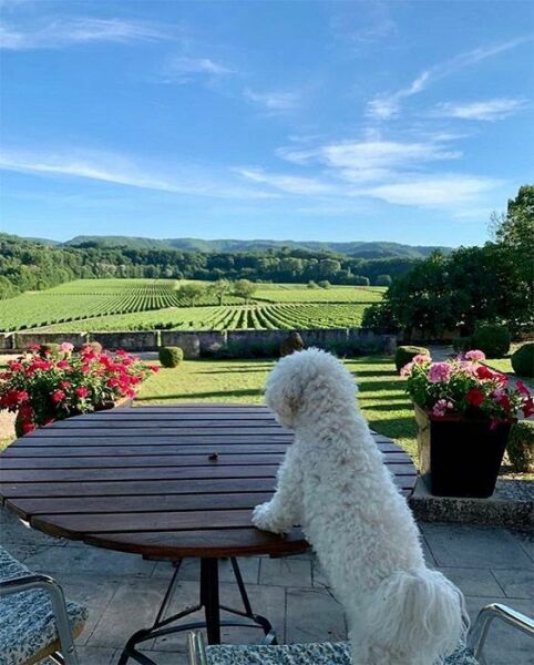 Royal Style: Diamonds are a Queen's best friend..