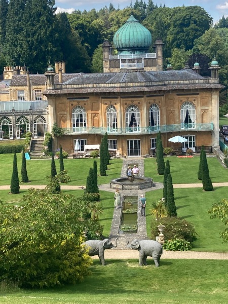 The Great Cancer Recovery part 3