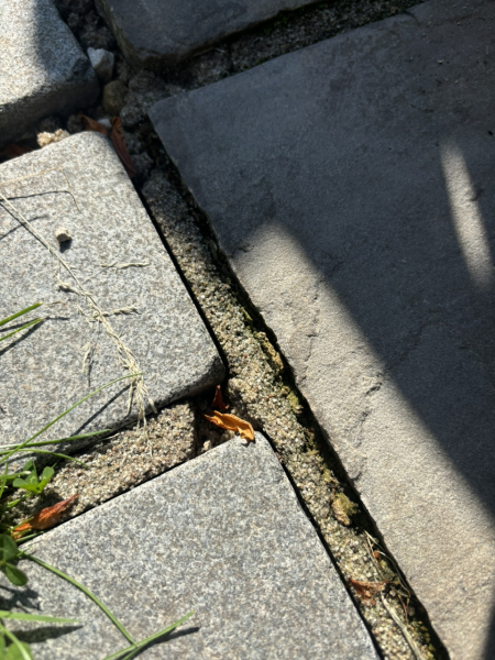 Replacing pointing between paving slabs