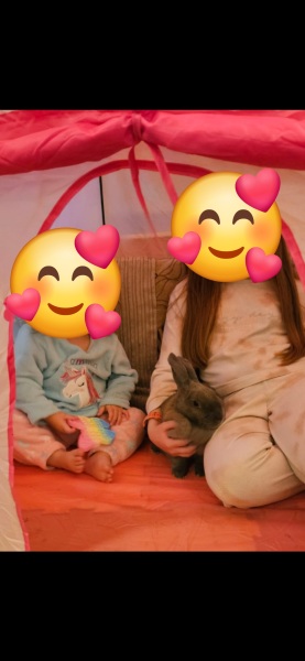 To get a load of bunnies for the kids?