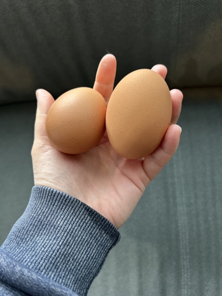 Mumsnet could do better (la quatrième partie): cheese wars and chickens