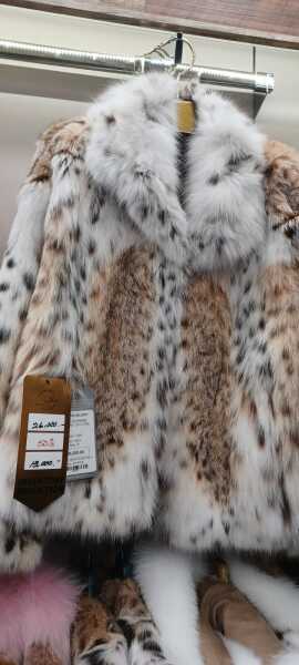 Why do people hate on my fur coat