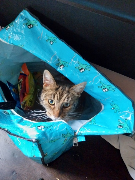 Thread 2. Starmer, return of the Labour government