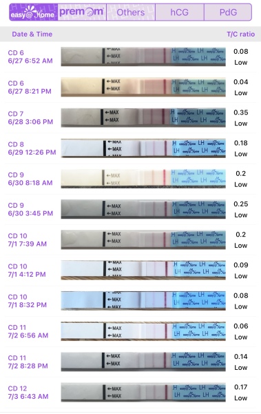 TTC after chemical pregnancy
