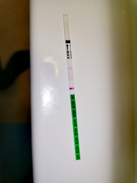 Pregnancy test