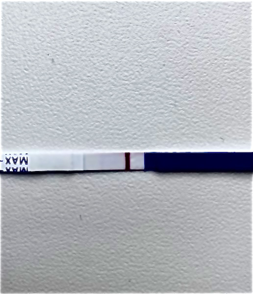 Can someone please have a look at this test for me (faint line)