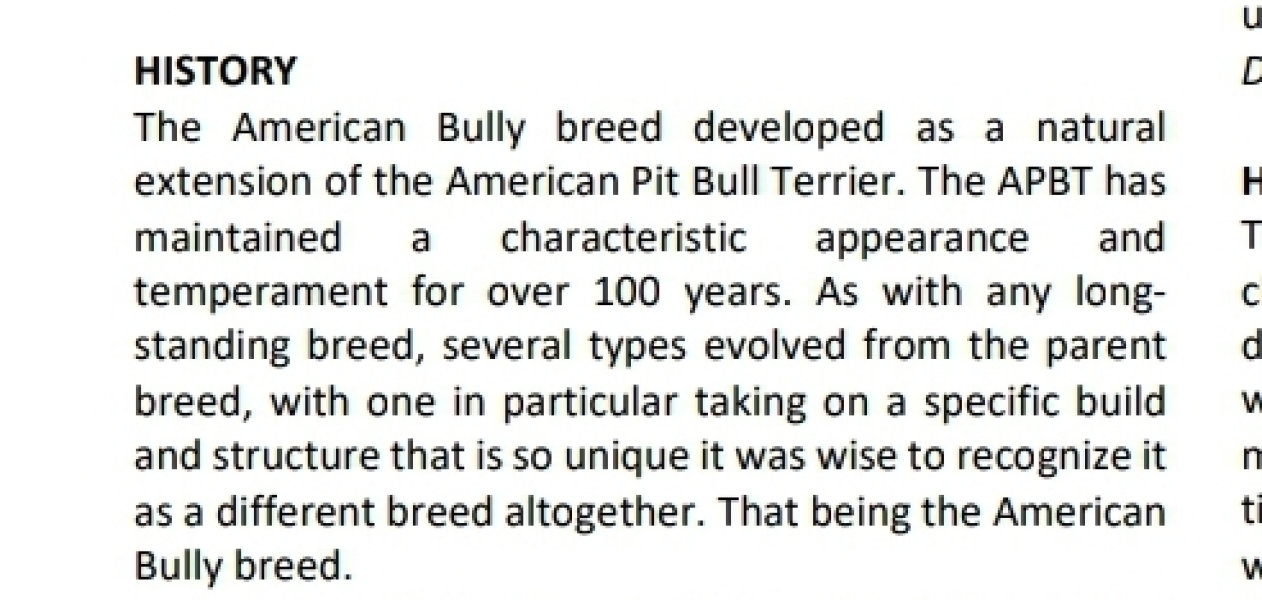 Day out in car with friends’ American Bully?
