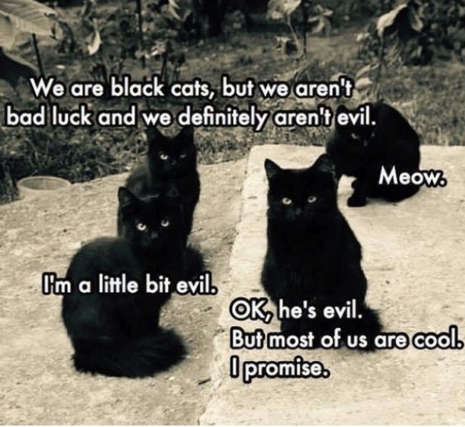 Thread 2. Starmer, return of the Labour government