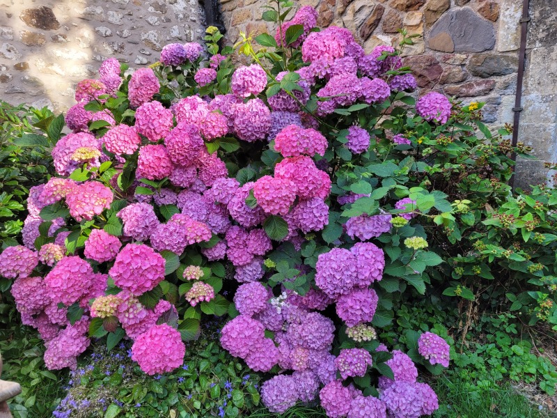 Thread 2. Starmer, return of the Labour government