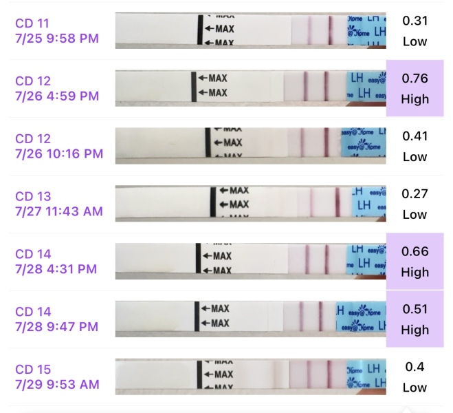TTC after Miscarriage part 4